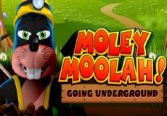 Moley Moolah! Going Underground logo