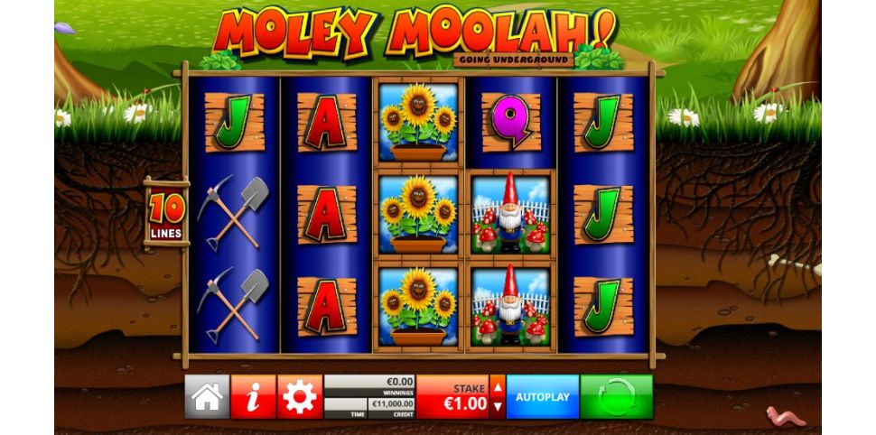 Moley Moolah! Going Underground
