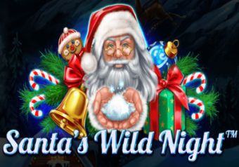 Santa's Wild Night logo
