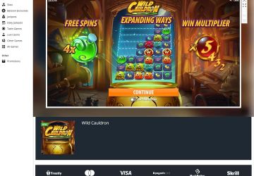 Betsson casino - slot machine Wild Cauldron