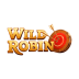 WildRobin Casino Review