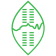 Eswatini