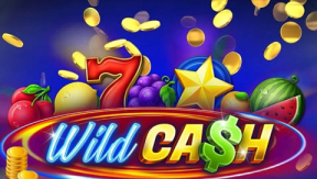Epic Win on BGaming Slot - Wild Cash!