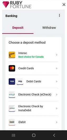 how to choose Echeck payment step 1