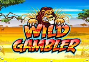 General information about Wild Gambler slot