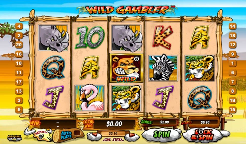 Wild Gambler