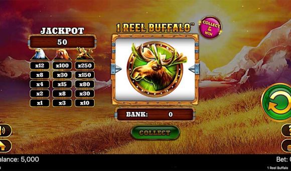 1 Reel Buffalo