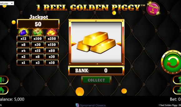 1 Reel Golden Piggy