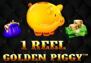 General information about 1 Reel Golden Piggy slot