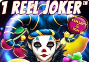 General information about 1 Reel Joker slot