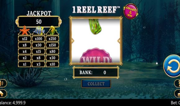 1 Reel Reef 
