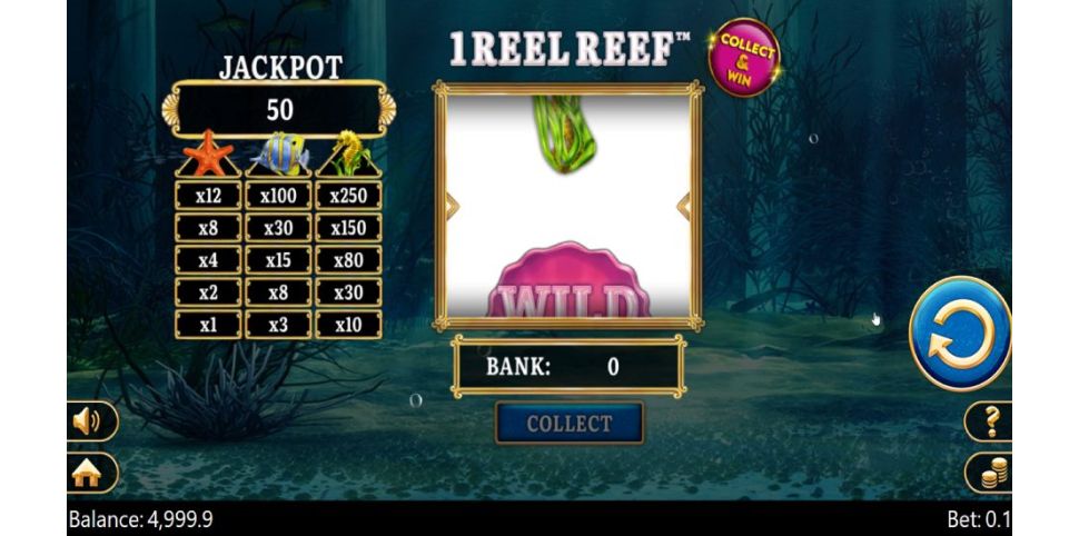 1 Reel Reef 