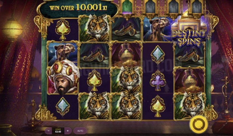 10,001 Nights