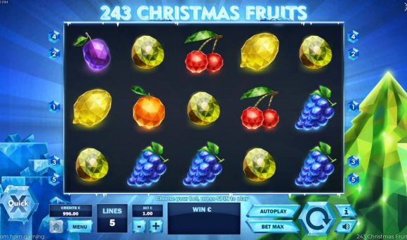 243 Christmas Fruits