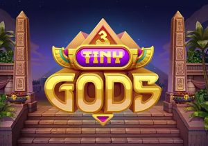 General information about 3 Tiny Gods slot