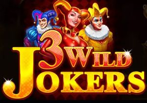 General information about 3 Wild Jokers slot