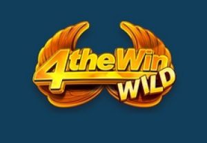 General information about 4 the Win Wild slot