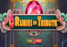 6 Rubies of Tribute 