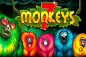 Spin Monkeys Review