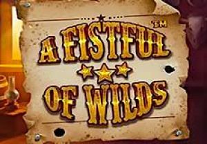 General information about A Fistful of Wilds slot