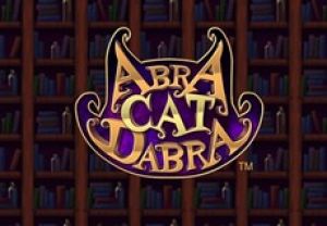 General information about AbraCatDabra slot