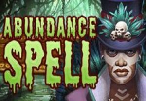 General information about Abundance Spell slot