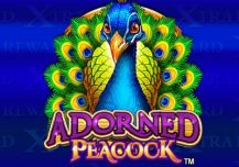 Adorned Peacock