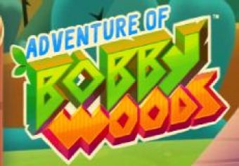 Adventure of Bobby Woods logo