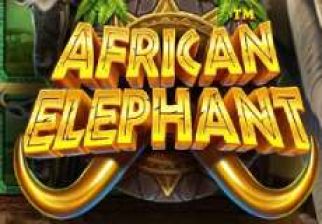 African Elephant logo