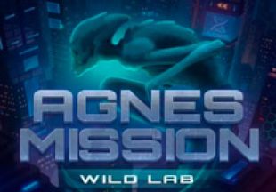 General information about Agnes Mission Wild Lab slot