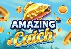 Amazing Catch