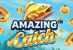 General information about Amazing Catch slot