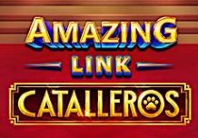 Amazing Link Catalleros