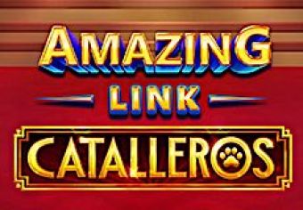 Amazing Link Catalleros logo