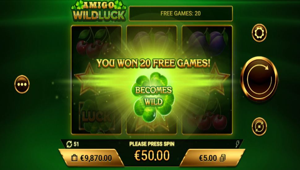 Amigo Wild Luck slot - feature