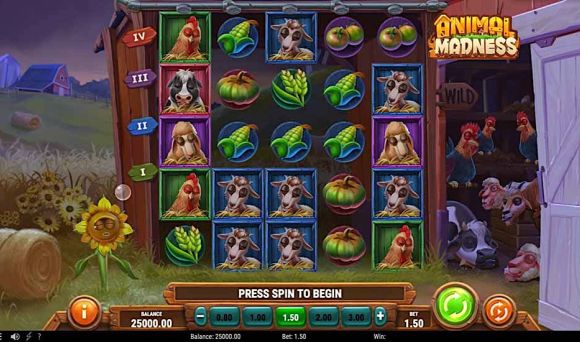 Animal Madness 