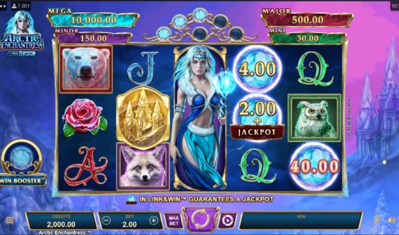 Arctic Enchantress Link & Win
