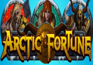 General information about Arctic Fortune slot