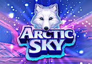 General information about Arctic Sky slot