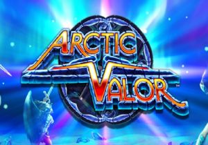 General information about Arctic Valor slot