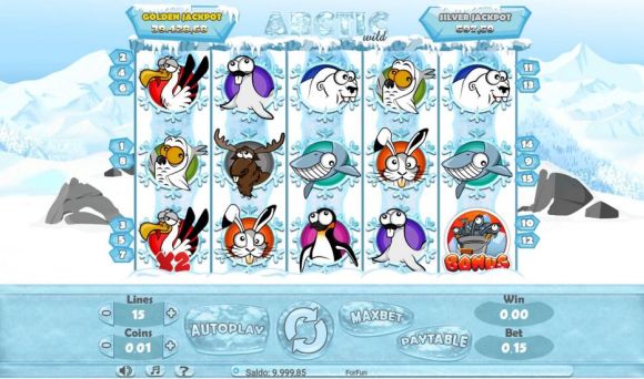 Arctic Wild