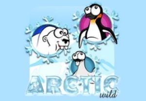 General information about Arctic Wild slot