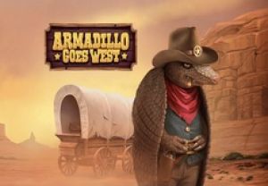 General information about Armadillo Goes West slot