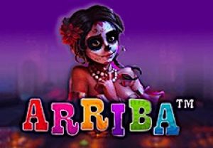 General information about Arriba slot