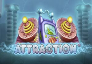 General information about Attraction slot