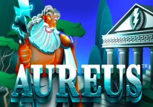 General information about Aureus slot