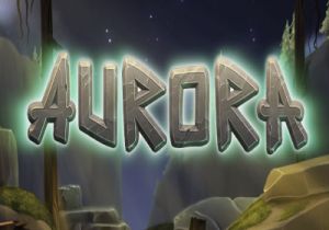 General information about Aurora slot