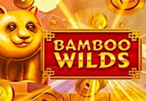 General information about Bamboo Wilds slot