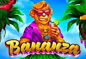 General information about Bananza slot