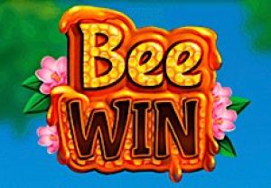 General information about Bee Win slot